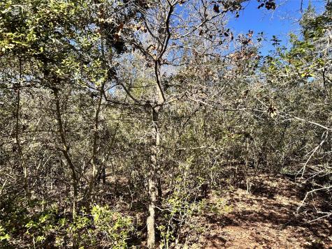 0 Wood Haven Drive Waelder TX 78959