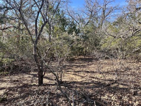 0 Wood Haven Drive Waelder TX 78959