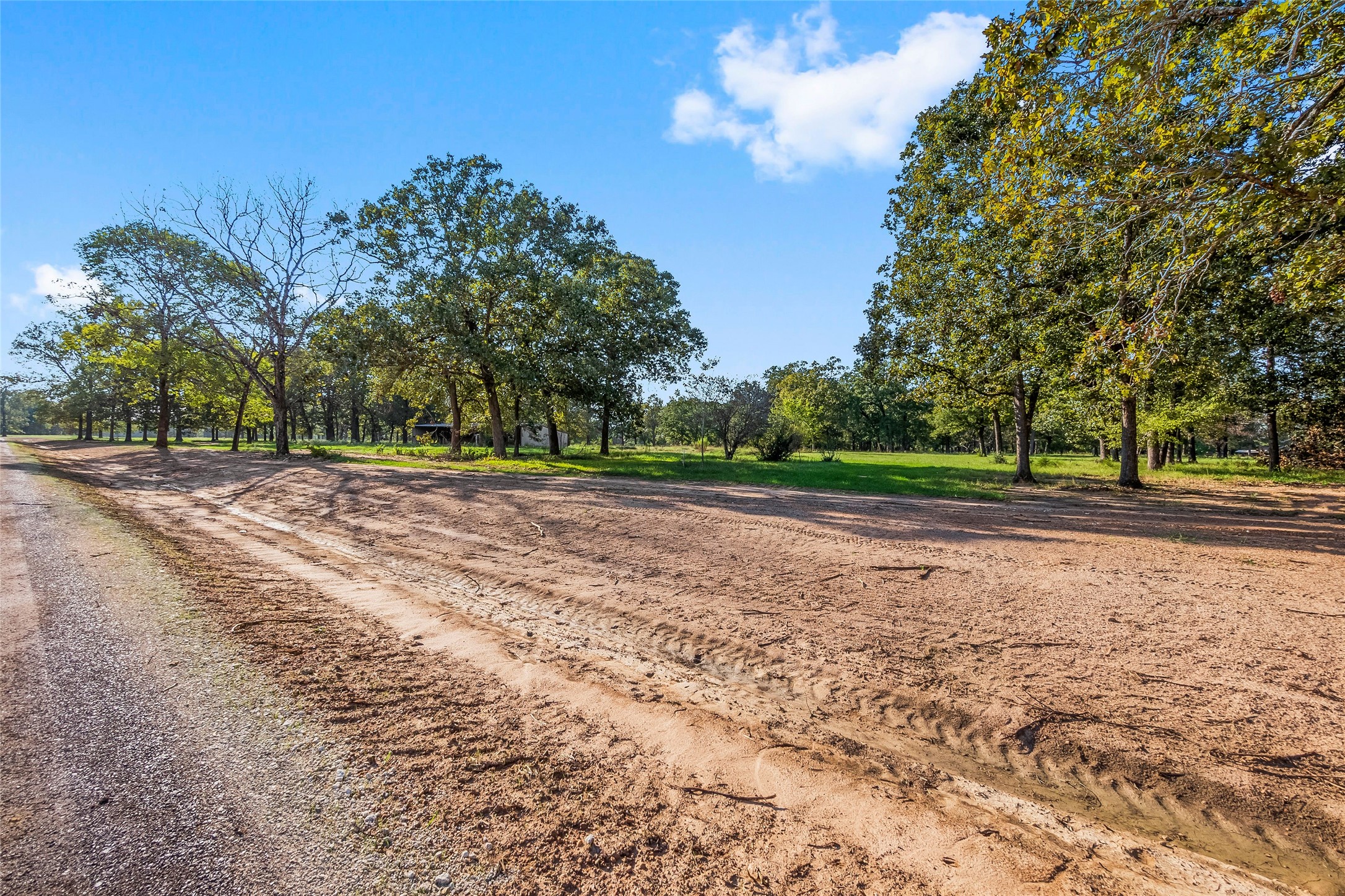 6123 Alans Memorial Lane New Waverly TX 77358