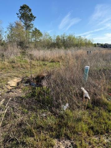 653 Road 5816 Cleveland TX 77327
