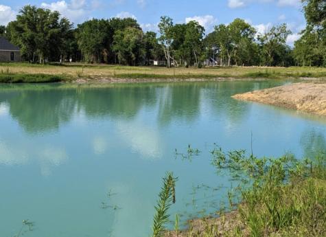 2840 County Road 160 Alvin TX 77511
