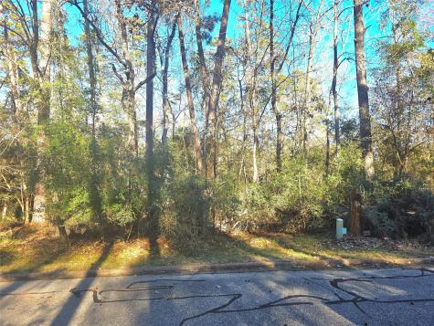 Tbd Burmuda Dune Drive Huntsville TX 77320