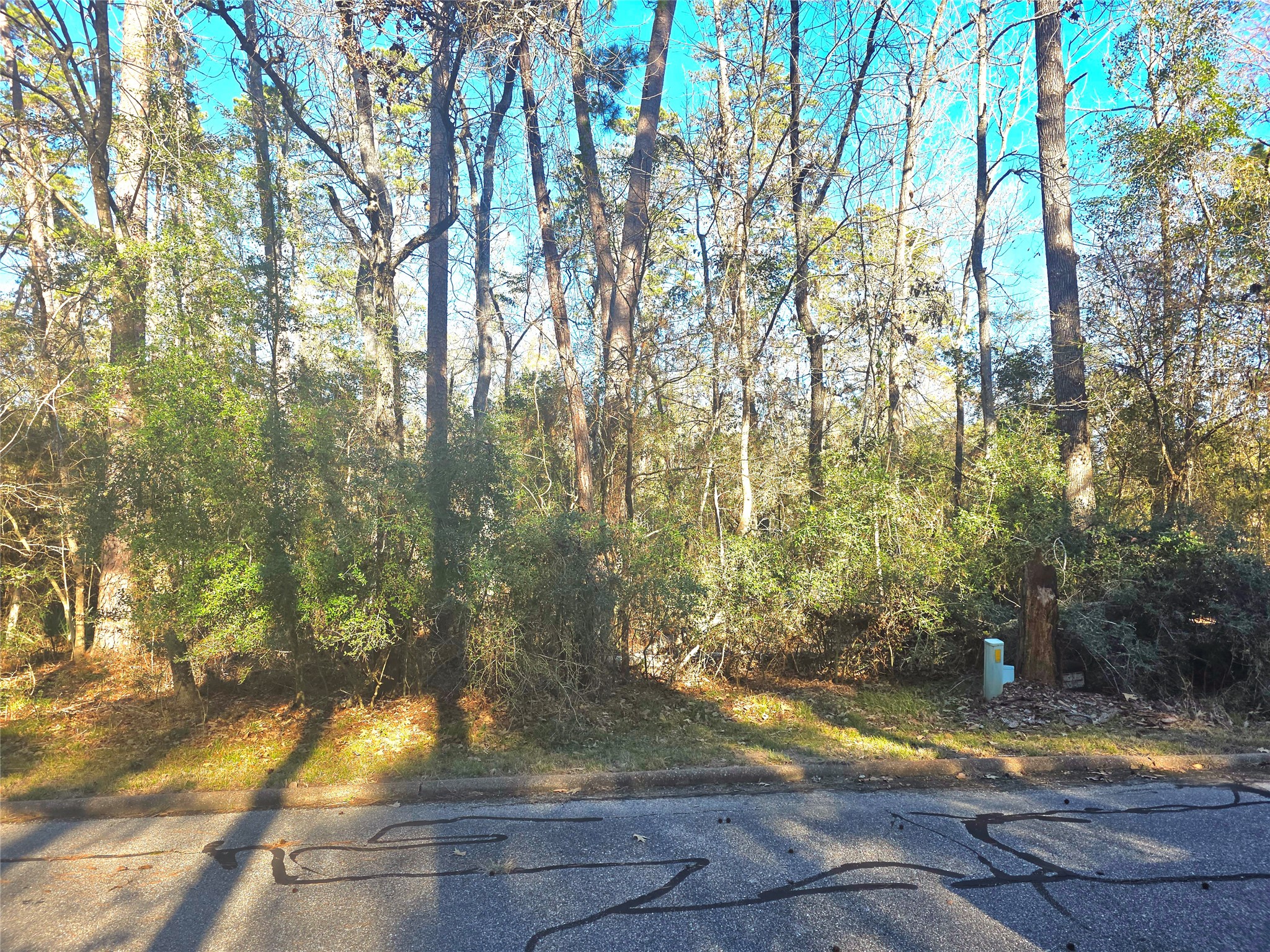 Tbd Burmuda Dune Drive Huntsville TX 77320