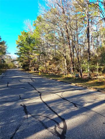 Tbd Burmuda Dune Drive Huntsville TX 77320