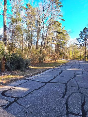 Tbd Burmuda Dune Drive Huntsville TX 77320