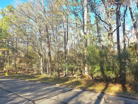 Tbd Burmuda Dune Drive Huntsville TX 77320