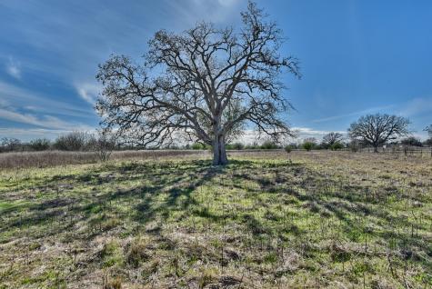 000 Newsom Road Bellville TX 77418