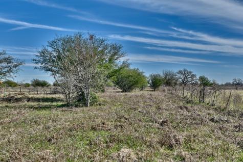 000 Newsom Road Bellville TX 77418