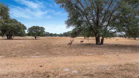 13320 Us Highway 77 S Hallettsville TX 77964