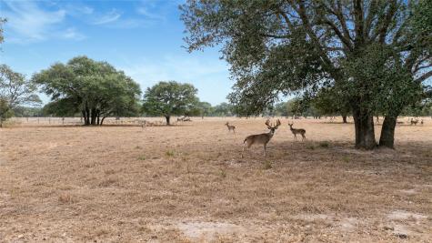 13320 Us Highway 77 S Hallettsville TX 77964