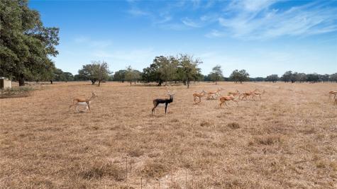 13320 Us Highway 77 S Hallettsville TX 77964