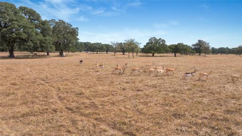 13320 Us Highway 77 S Hallettsville TX 77964