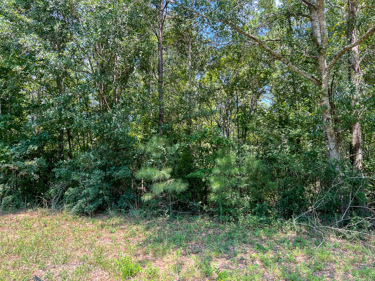 3 Highway 190 Woodville TX 75979