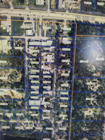 33014 Octavia Drive Magnolia TX 77354