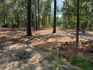 33014 Octavia Drive Magnolia TX 77354