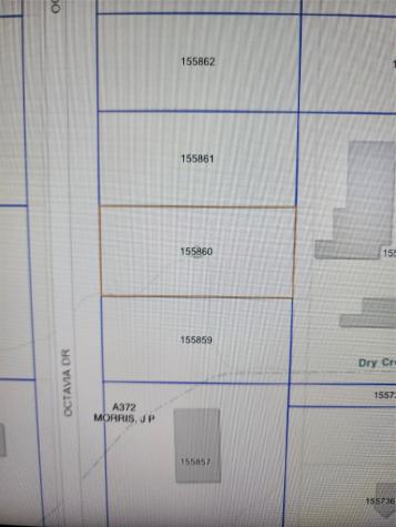 33014 Octavia Drive Magnolia TX 77354