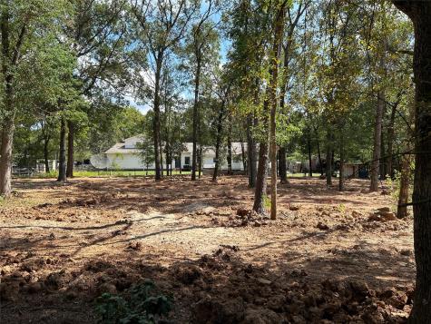 33014 Octavia Drive Magnolia TX 77354