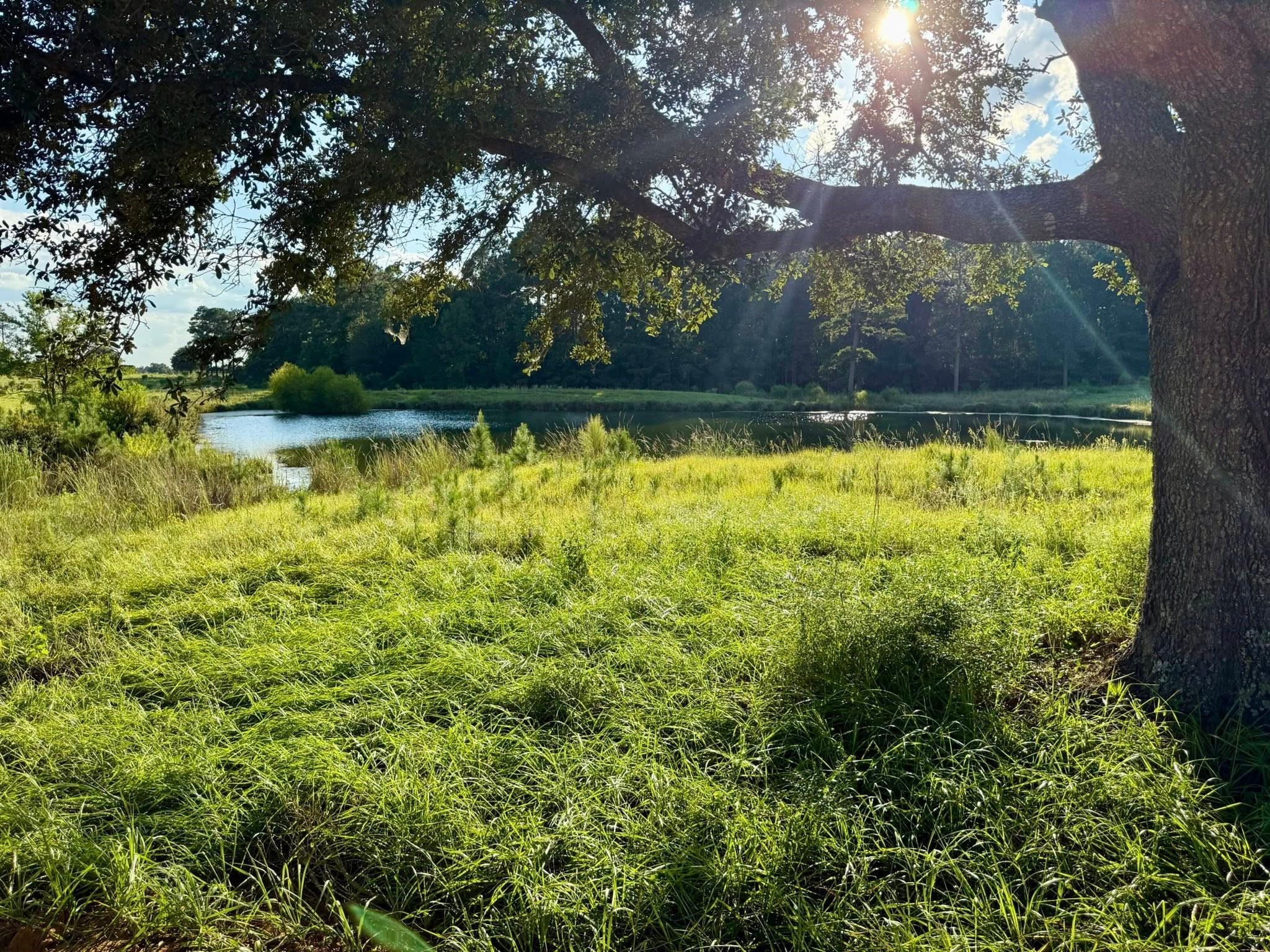 Tbd Lakeland Ranch Lot 277 Hillister TX 77624