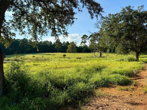 Tbd Lakeland Ranch Lot 277 Hillister TX 77624
