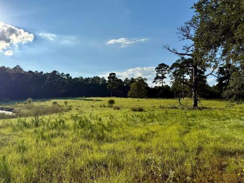 Tbd Lakeland Ranch Lot 277 Hillister TX 77624