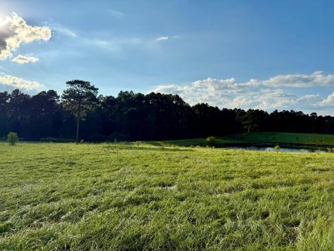 Tbd Lakeland Ranch Lot 277 Hillister TX 77624