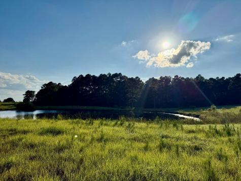 Tbd Lakeland Ranch Lot 277 Hillister TX 77624