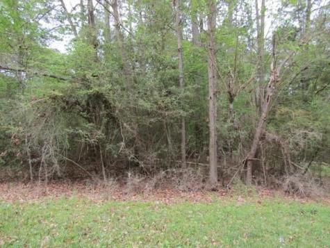 Lot 25 Gnu Street Onalaska TX 77360