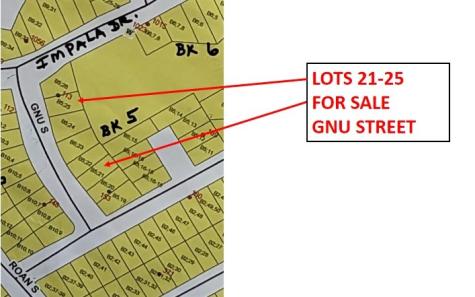 Lot 25 Gnu Street Onalaska TX 77360
