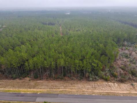 16098 Forest Mill Road Willis TX 77378