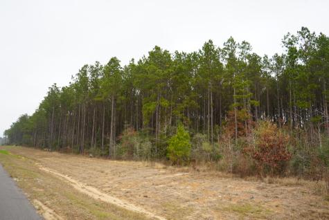 16098 Forest Mill Road Willis TX 77378
