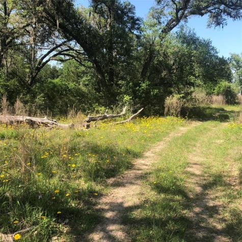 10324 Fm 530 Hallettsville TX 77964