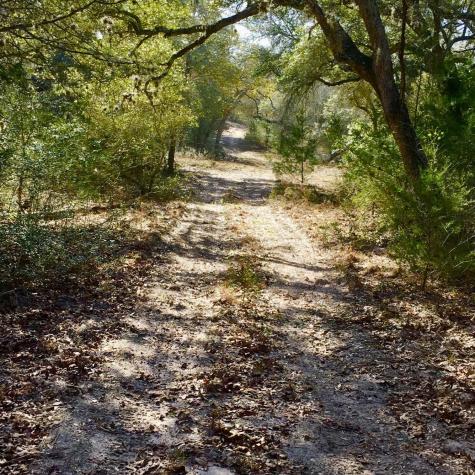 10324 Fm 530 Hallettsville TX 77964