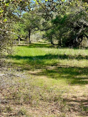 10324 Fm 530 Hallettsville TX 77964