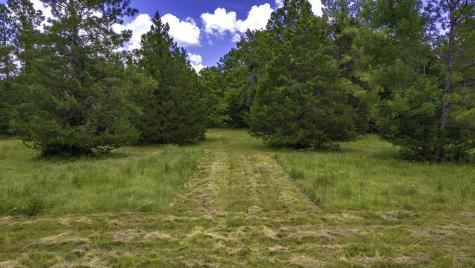 0000 Fm-942 Livingston TX 77351