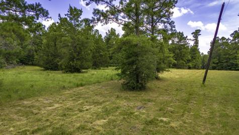 0000 Fm-942 Livingston TX 77351