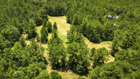 0000 Fm-942 Livingston TX 77351