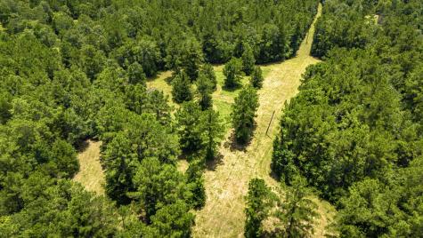 0000 Fm-942 Livingston TX 77351