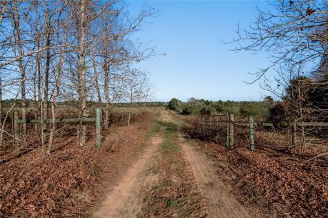 Tbd County Road 204 Centerville TX 75833