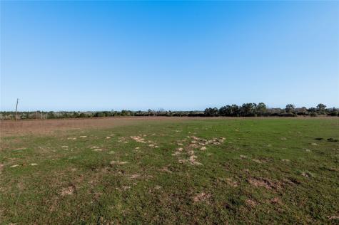 Tbd County Road 204 Centerville TX 75833