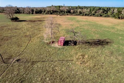 Tbd County Road 204 Centerville TX 75833
