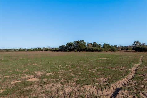 Tbd County Road 204 Centerville TX 75833