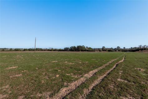 Tbd County Road 204 Centerville TX 75833