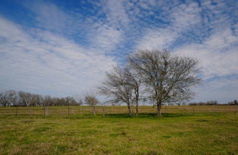 1011 Fm 956 Schulenburg TX 78956