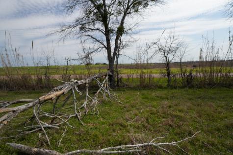 1011 Fm 956 Schulenburg TX 78956