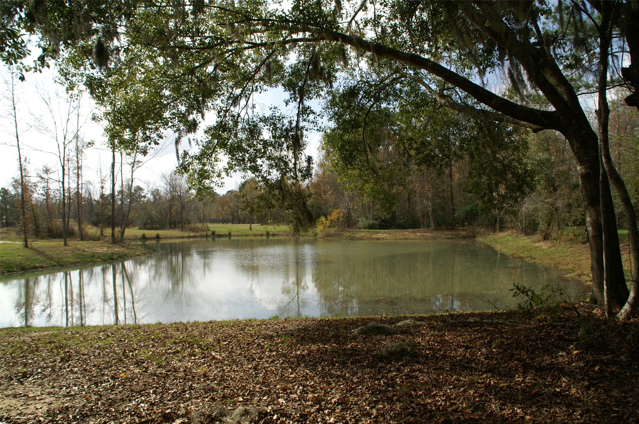 13 Robin Hood Cleveland TX 77327