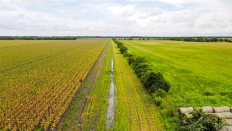 000 County Road 384 Louise TX 77455