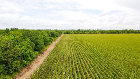 000 County Road 384 Louise TX 77455