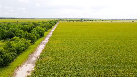 000 County Road 384 Louise TX 77455