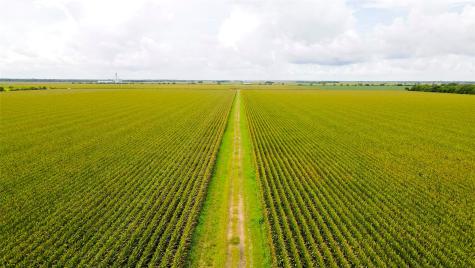 000 County Road 384 Louise TX 77455