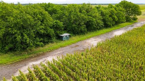 000 County Road 384 Louise TX 77455